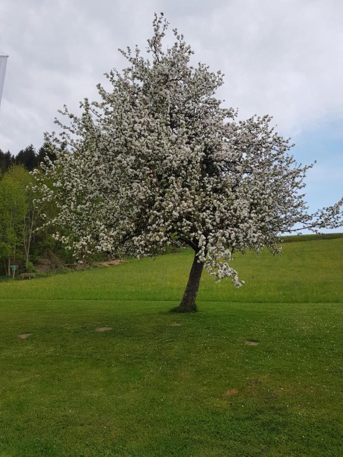 Berg Hotel Weingarten Garni ريمستينغ المظهر الخارجي الصورة