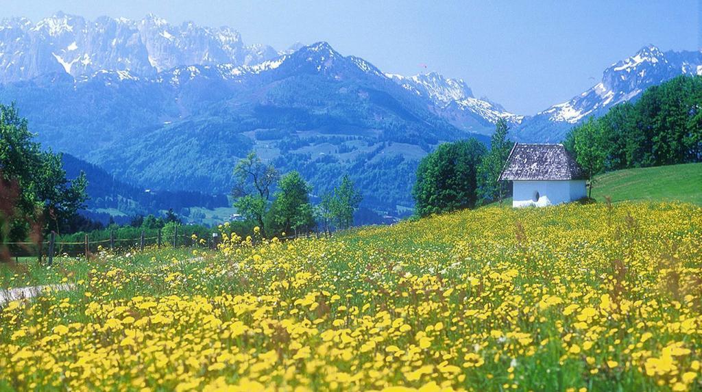 ريمستينغ Berg Hotel Weingarten Garni الغرفة الصورة